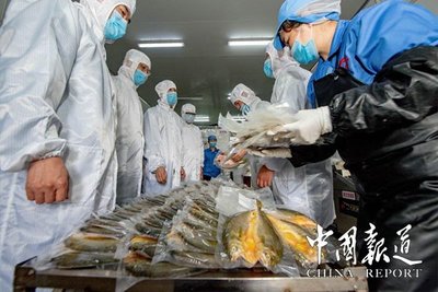 饶平海关助力水产品畅销“一带一路”