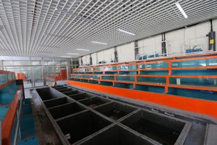 上海自贸区旁要新开水产市场 进口水产品将成亮点
