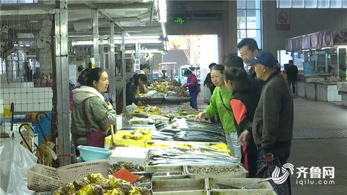 休渔期岛城水产品供应不断档 市民餐桌不受影响